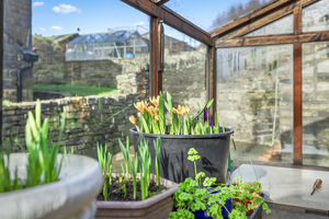 Photo 50- click for photo gallery